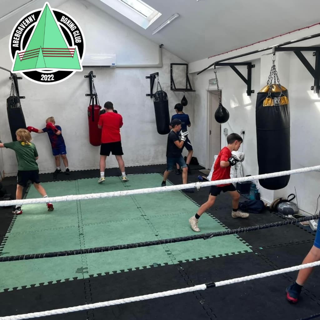 Photo of Abergavenny Boxing Club with logo